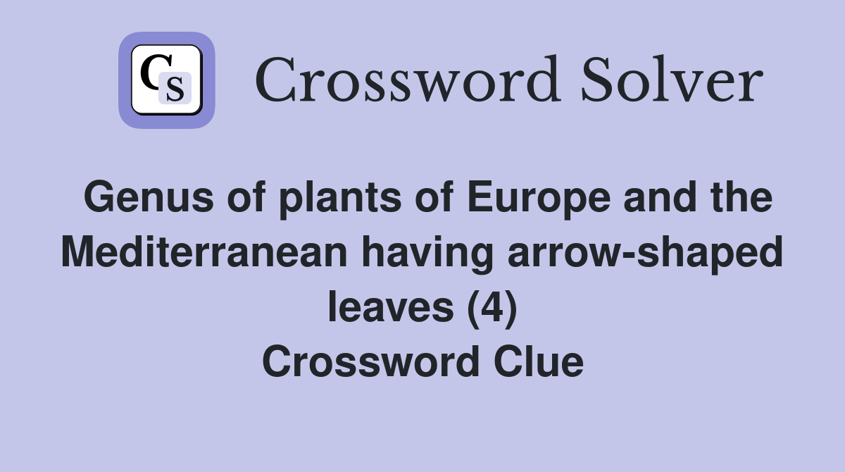 Genus of plants of Europe and the Mediterranean having arrow-shaped leaves (4) Crossword Clue
