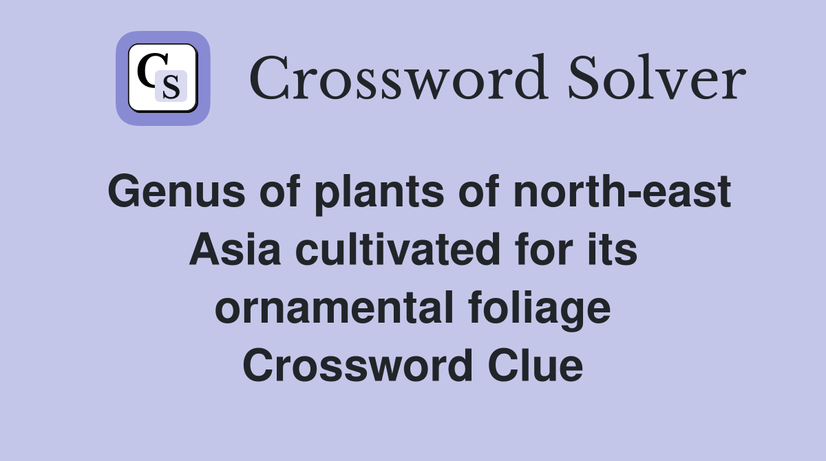 Genus of plants of north-east Asia cultivated for its ornamental foliage Crossword Clue