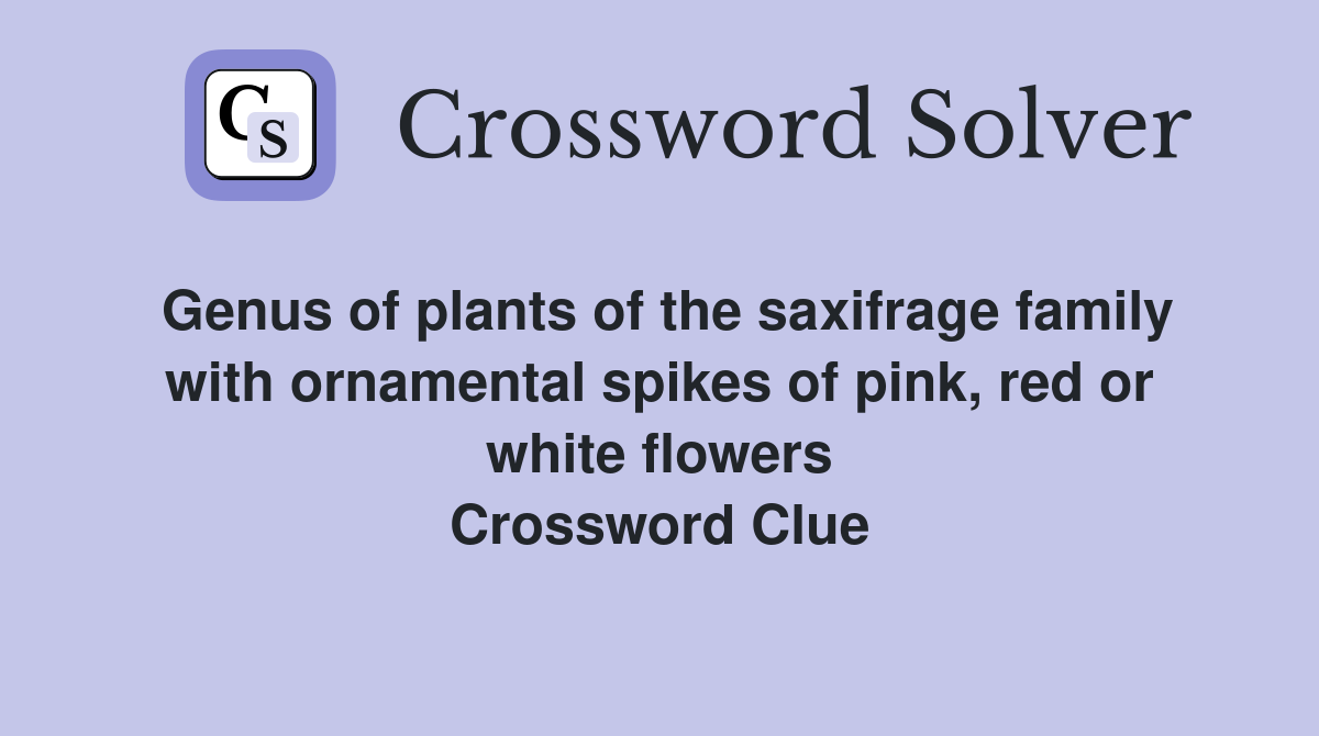 Genus of plants of the saxifrage family with ornamental spikes of pink, red or white flowers Crossword Clue