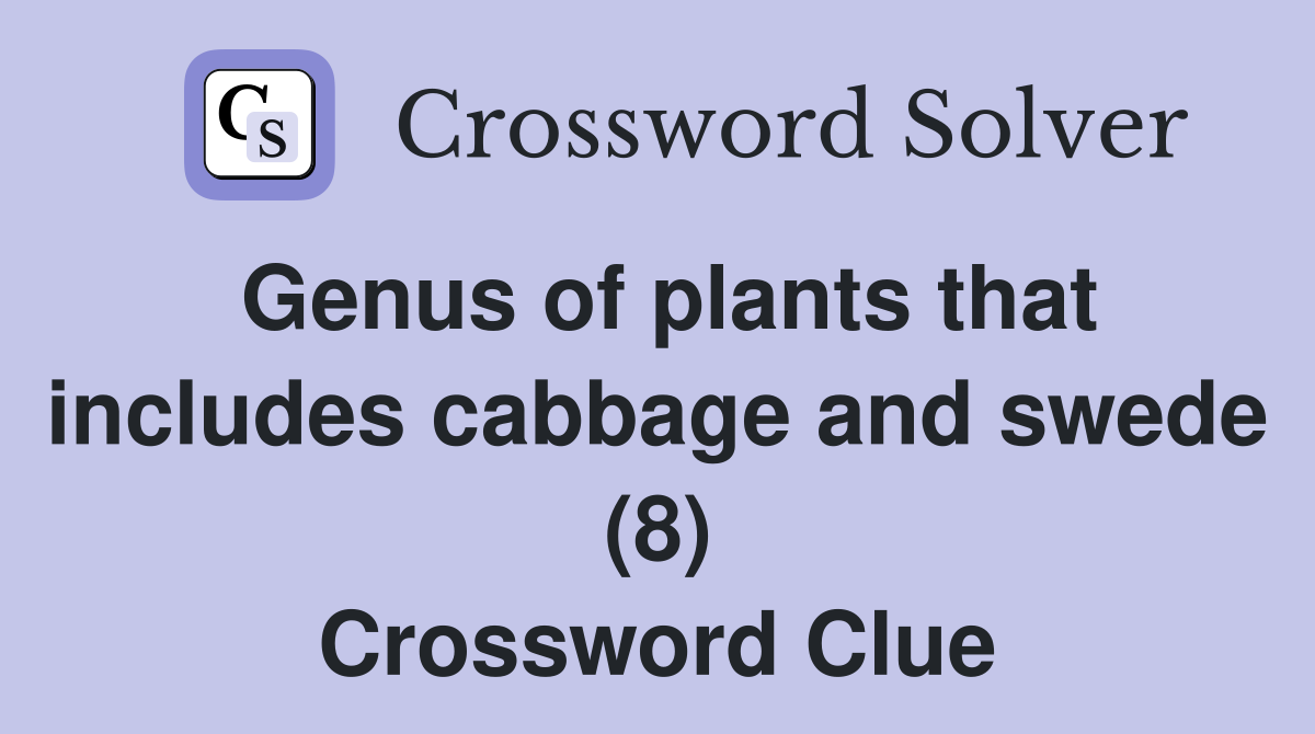 Genus of plants that includes cabbage and swede (8) Crossword Clue