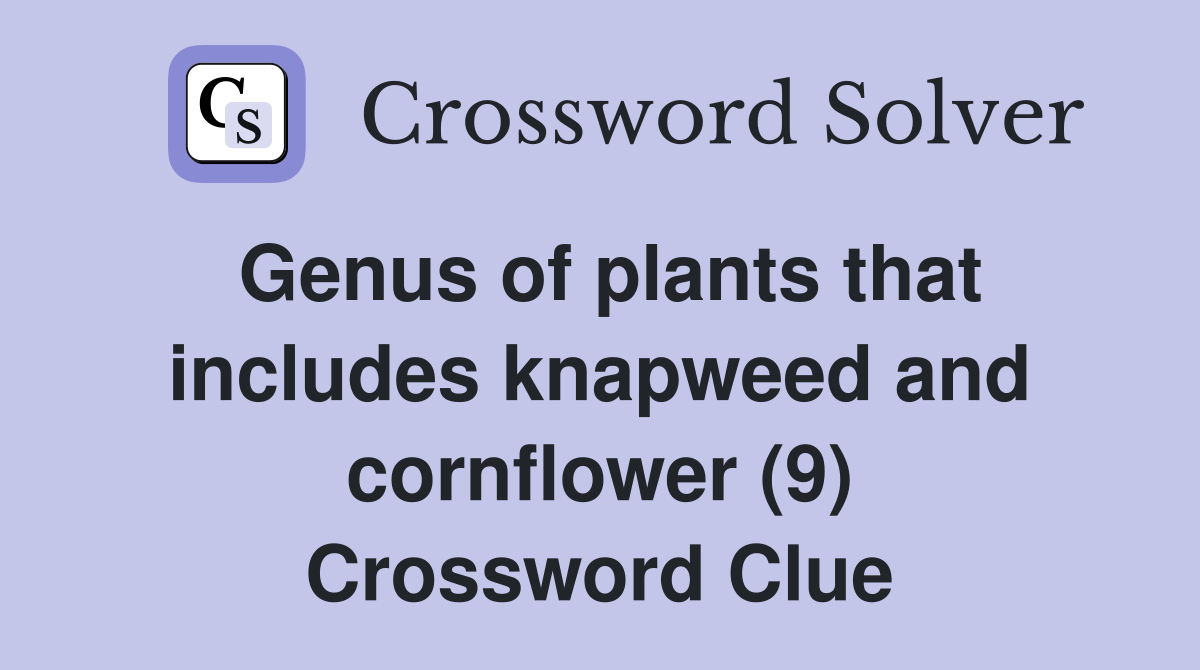 Genus of plants that includes knapweed and cornflower (9) Crossword Clue