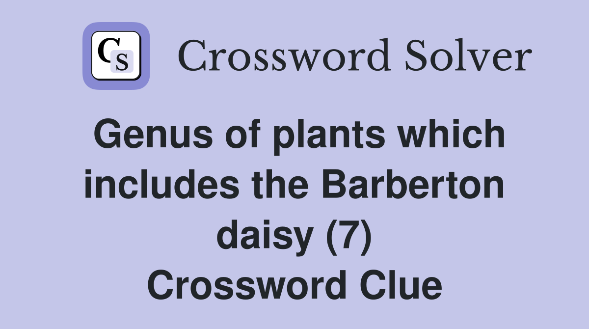 Genus of plants which includes the Barberton daisy (7) Crossword Clue
