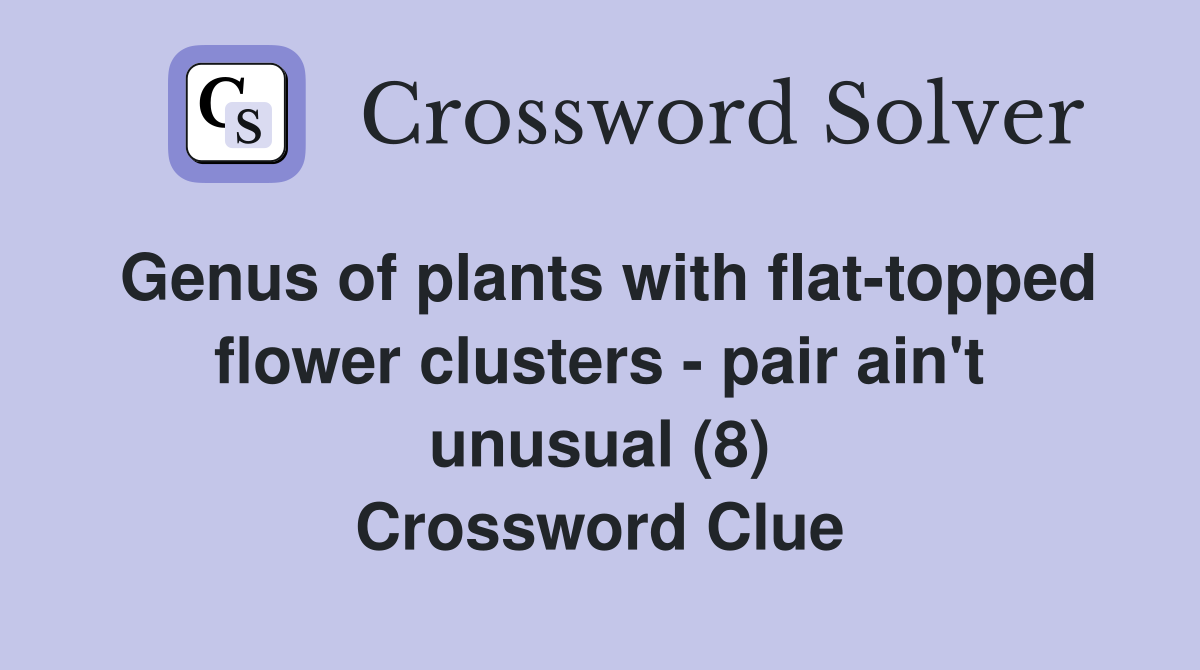 Genus of plants with flat-topped flower clusters - pair ain't unusual (8) Crossword Clue