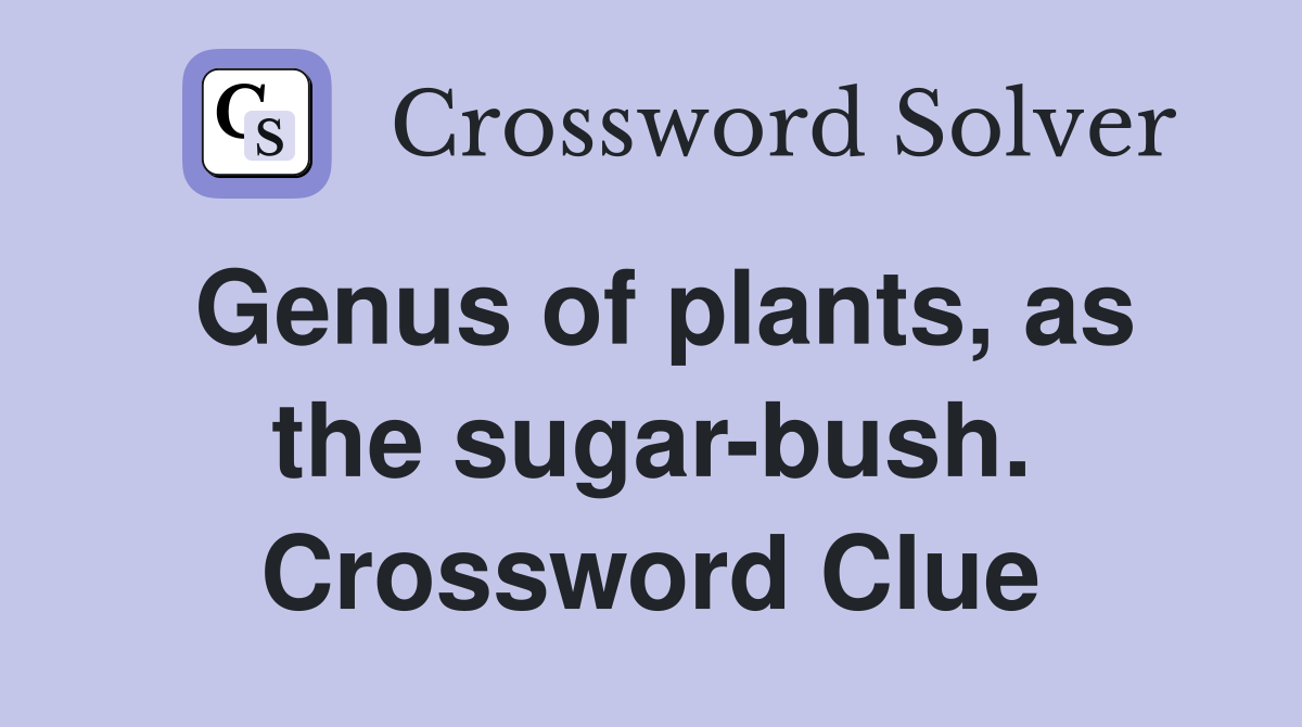 Genus of plants, as the sugar-bush. Crossword Clue
