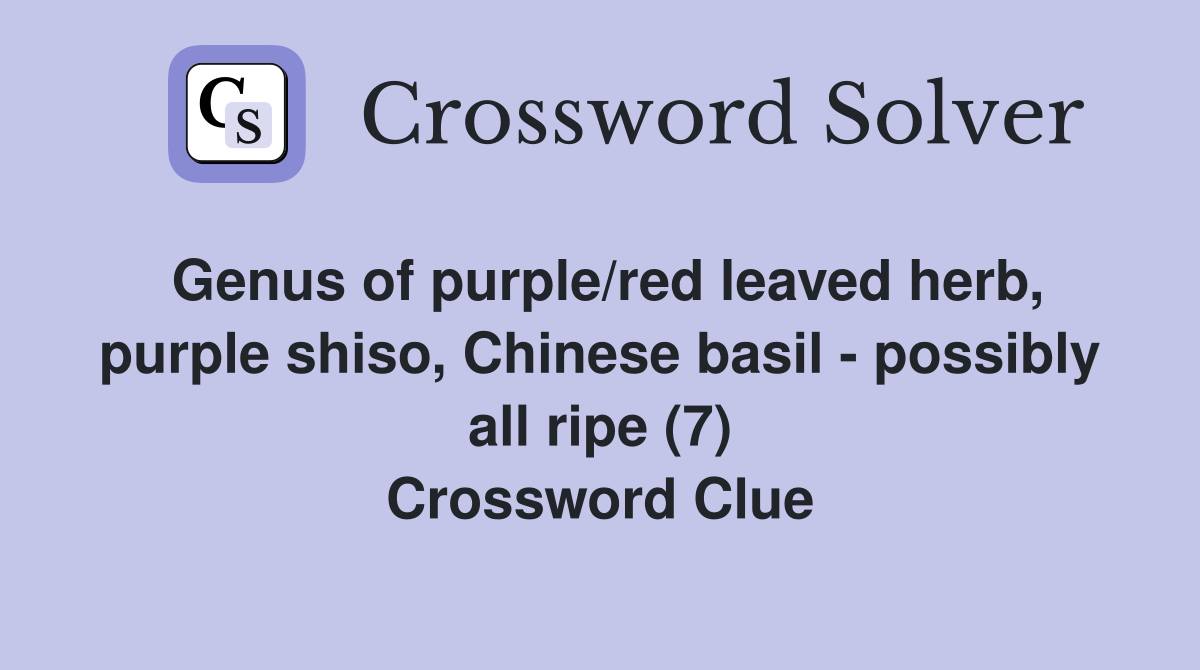 Genus of purple/red leaved herb, purple shiso, Chinese basil - possibly all ripe (7) Crossword Clue