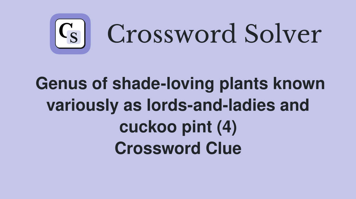 Genus of shade-loving plants known variously as lords-and-ladies and cuckoo pint (4) Crossword Clue