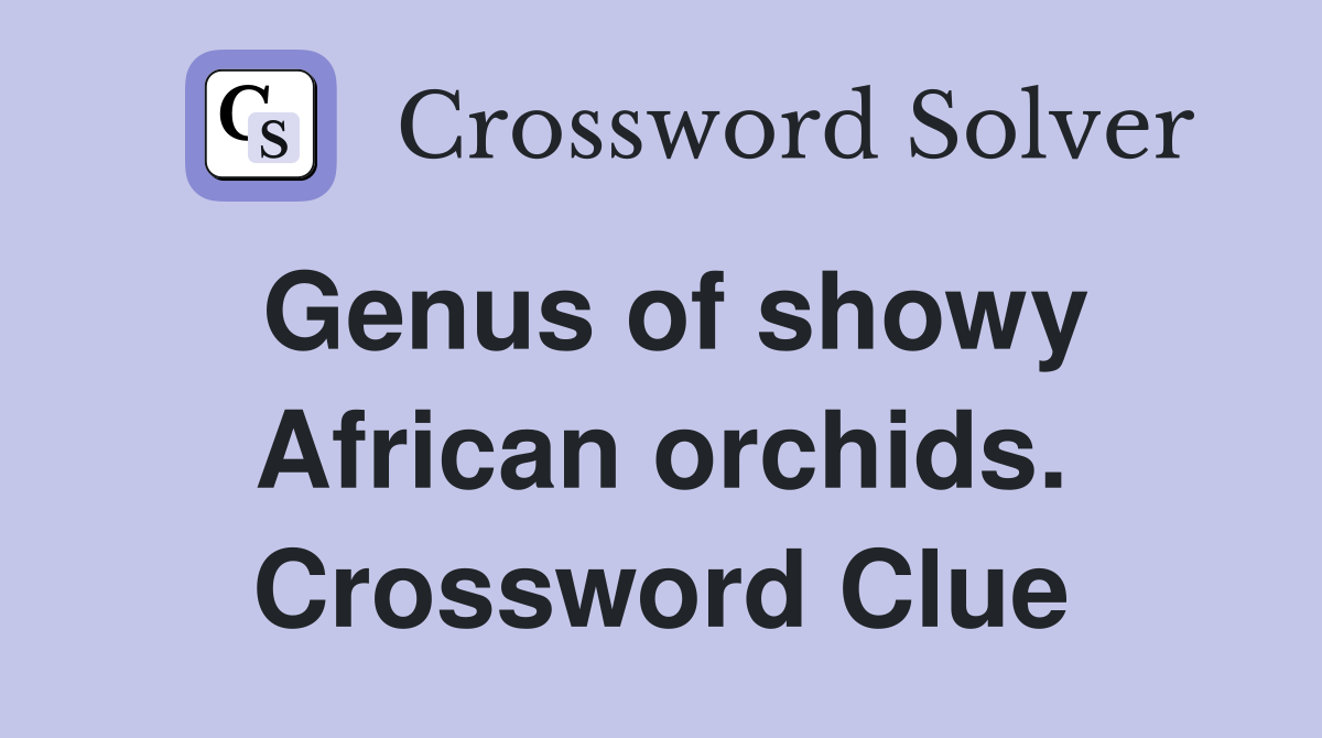 Genus of showy African orchids. Crossword Clue