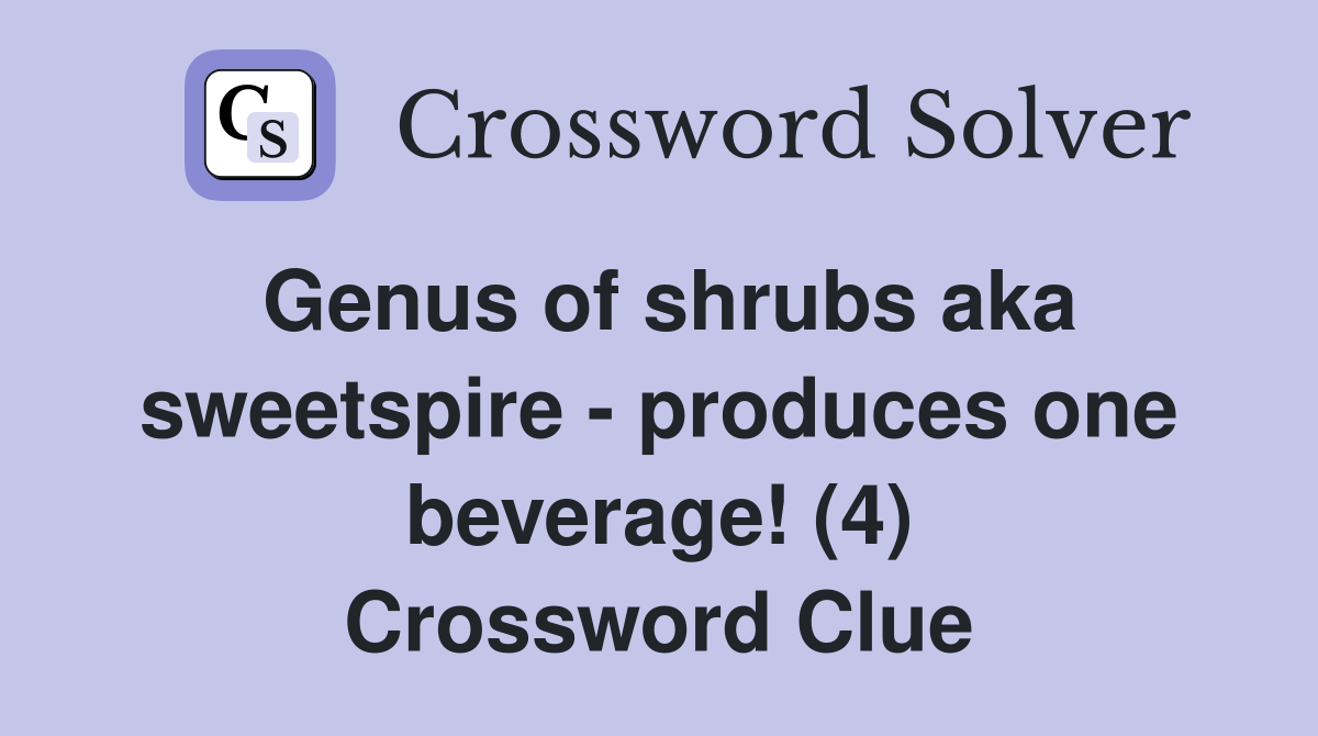 Genus of shrubs aka sweetspire - produces one beverage! (4) Crossword Clue
