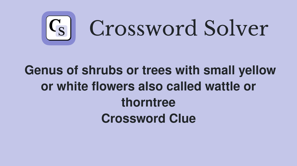 Genus of shrubs or trees with small yellow or white flowers also called wattle or thorntree Crossword Clue