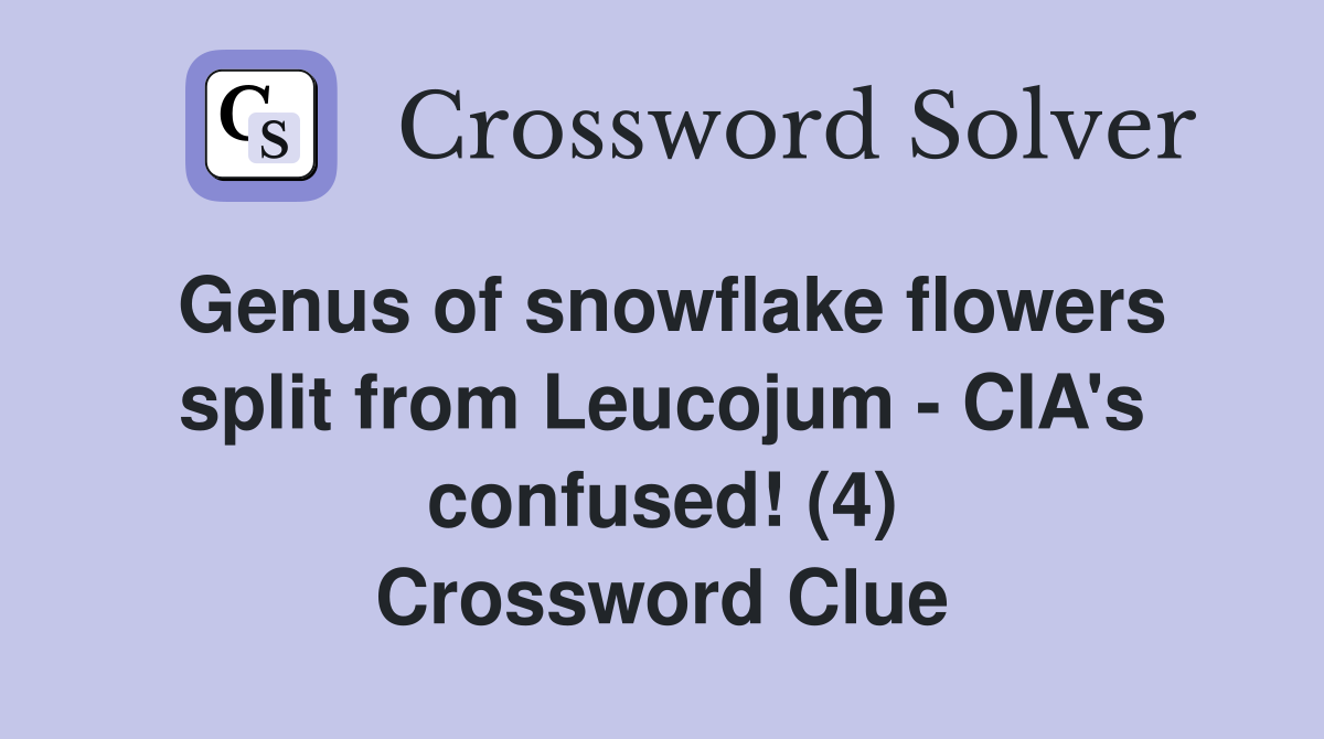 Genus of snowflake flowers split from Leucojum - CIA's confused! (4) Crossword Clue