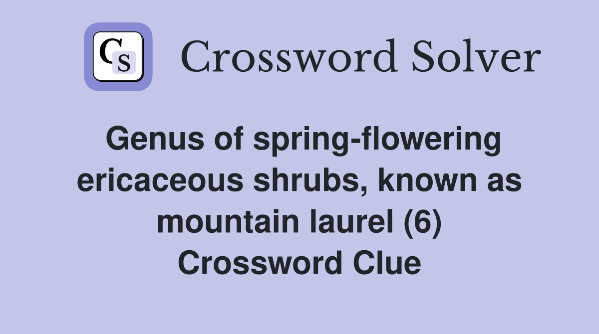 Genus of spring-flowering ericaceous shrubs, known as mountain laurel (6) Crossword Clue