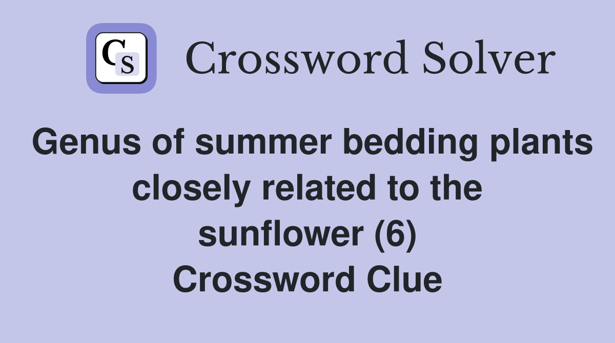Genus of summer bedding plants closely related to the sunflower (6) Crossword Clue