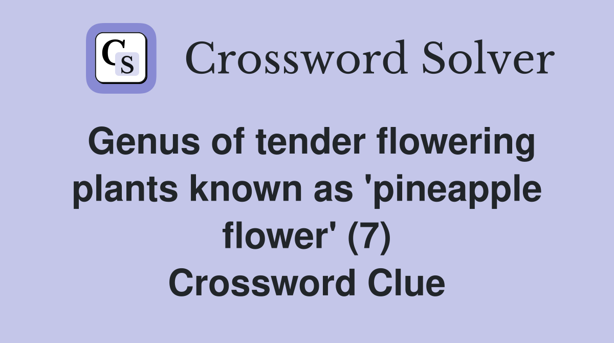 Genus of tender flowering plants known as 'pineapple flower' (7) Crossword Clue