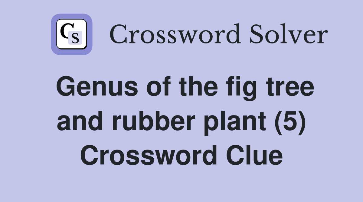 Genus of the fig tree and rubber plant (5) Crossword Clue
