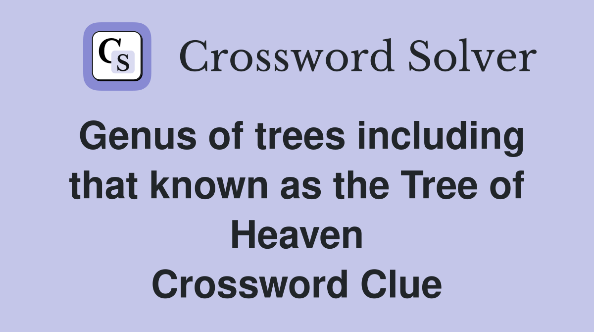 Genus of trees including that known as the Tree of Heaven Crossword Clue