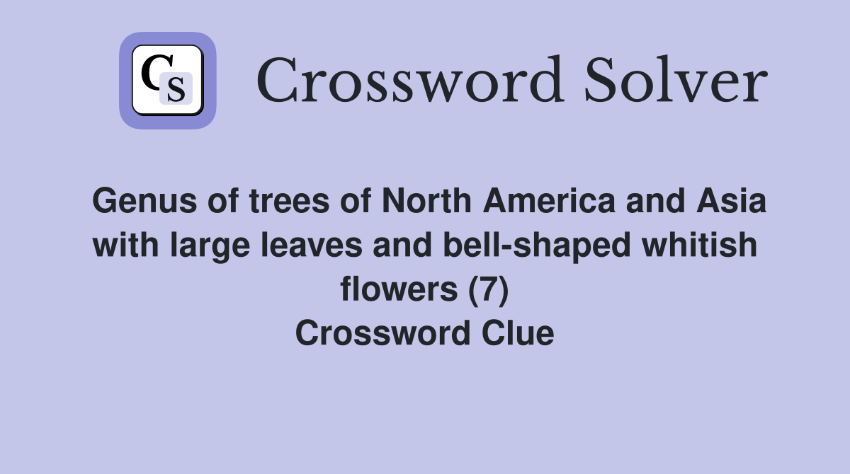 Genus of trees of North America and Asia with large leaves and bell-shaped whitish flowers (7) Crossword Clue