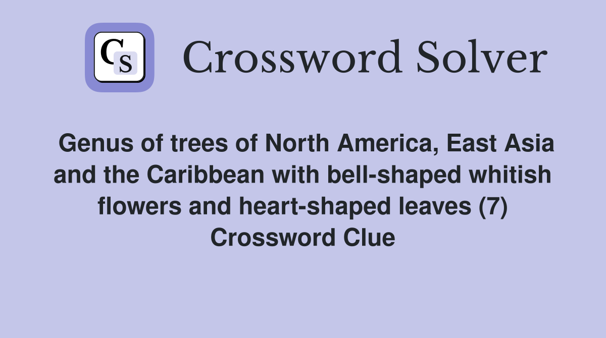 Genus of trees of North America, East Asia and the Caribbean with bell-shaped whitish flowers and heart-shaped leaves (7) Crossword Clue