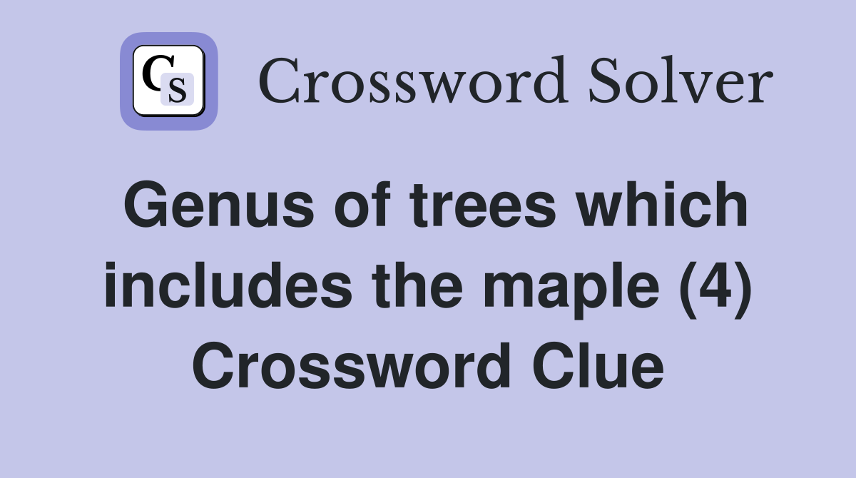 Genus of trees which includes the maple (4) Crossword Clue