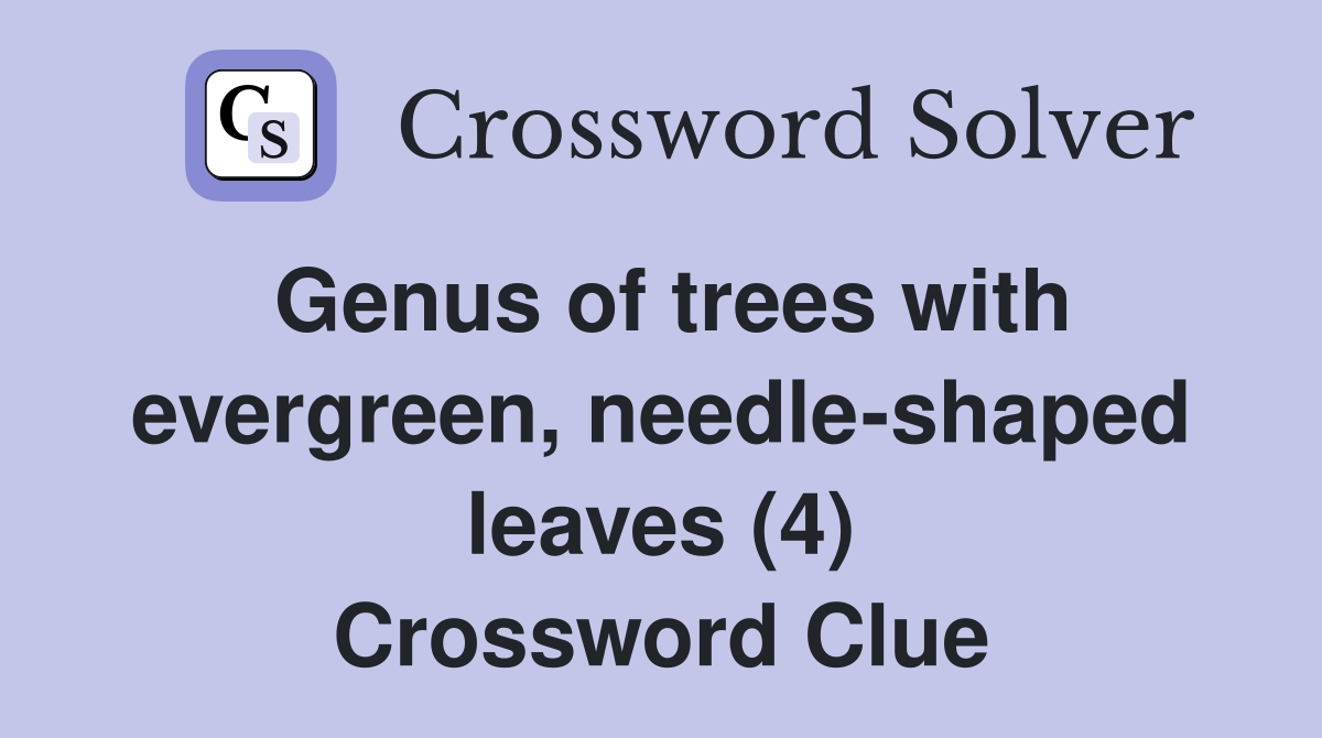 Genus of trees with evergreen, needle-shaped leaves (4) Crossword Clue