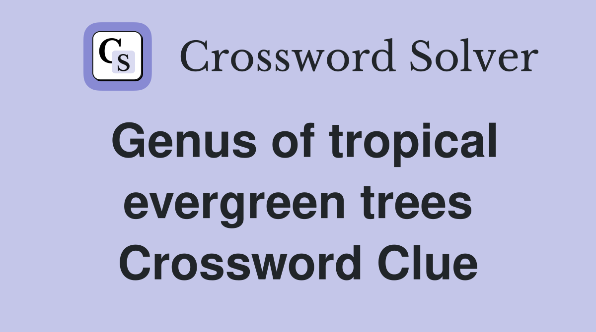 Genus of tropical evergreen trees Crossword Clue
