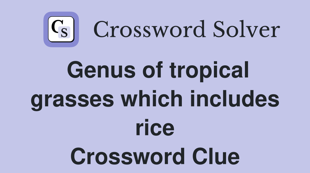 Genus of tropical grasses which includes rice Crossword Clue