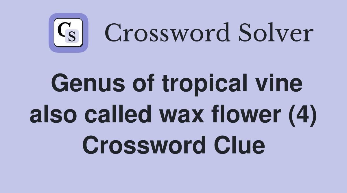 Genus of tropical vine also called wax flower (4) Crossword Clue