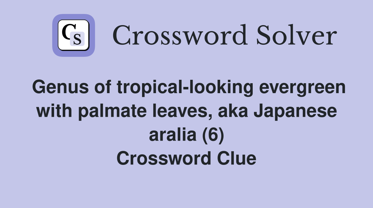 Genus of tropical-looking evergreen with palmate leaves, aka Japanese aralia (6) Crossword Clue