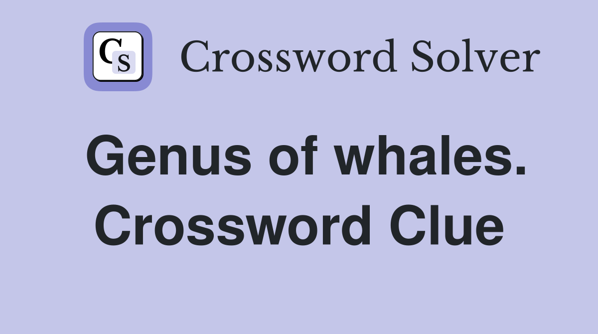 Genus of whales. Crossword Clue
