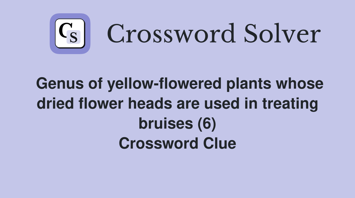 Genus of yellow-flowered plants whose dried flower heads are used in treating bruises (6) Crossword Clue