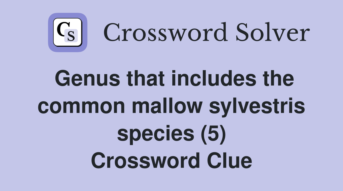 Genus that includes the common mallow sylvestris species (5) Crossword Clue