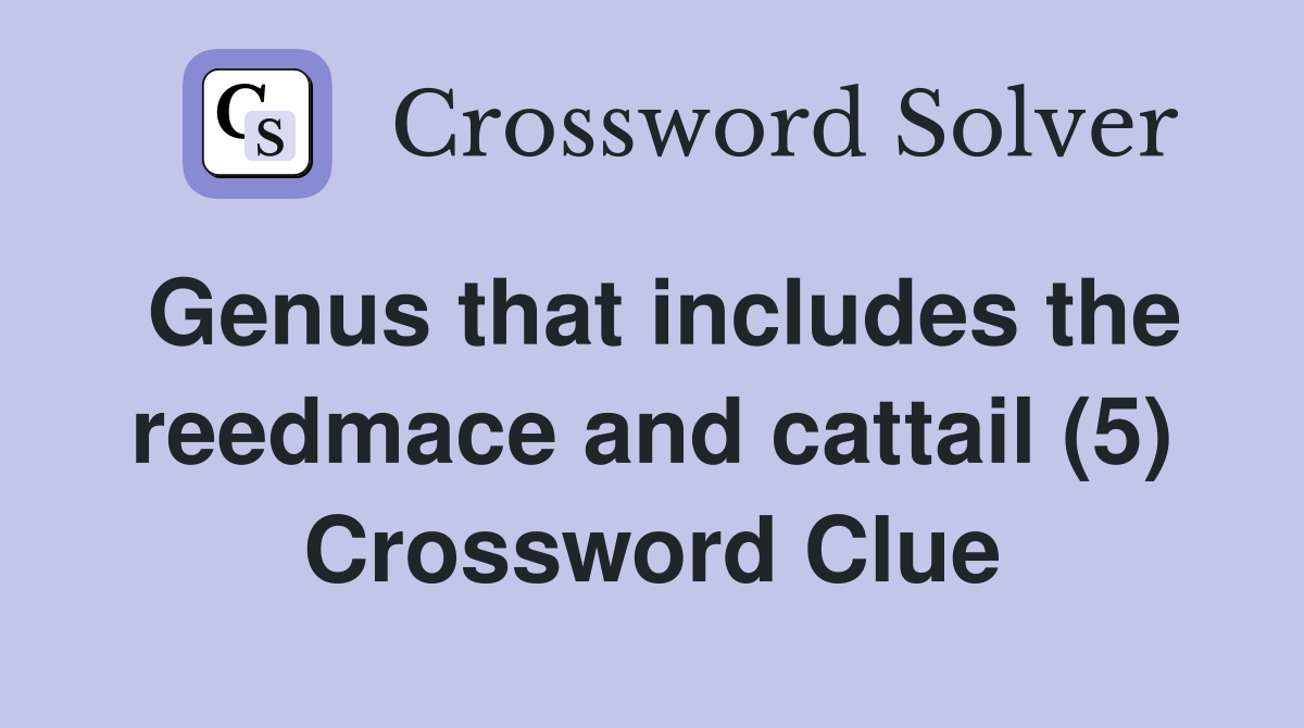 Genus that includes the reedmace and cattail (5) Crossword Clue