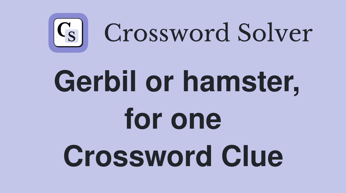 Gerbil or hamster, for one Crossword Clue