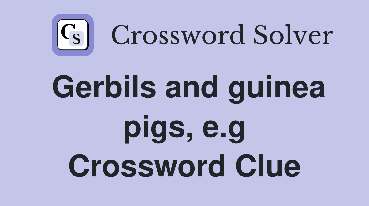 Gerbils and guinea pigs, e.g Crossword Clue