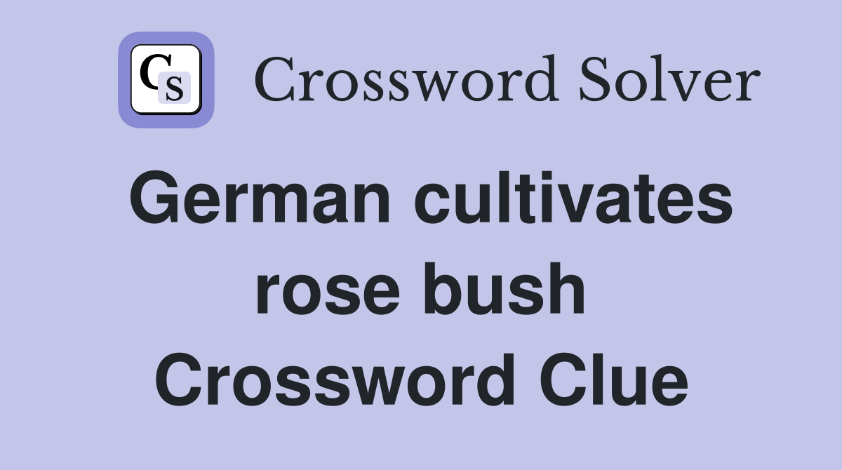 German cultivates rose bush Crossword Clue