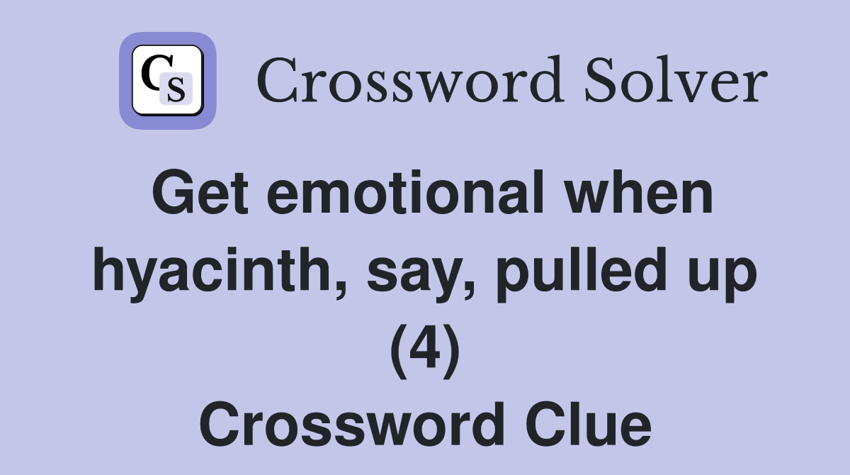 Get emotional when hyacinth, say, pulled up (4) Crossword Clue