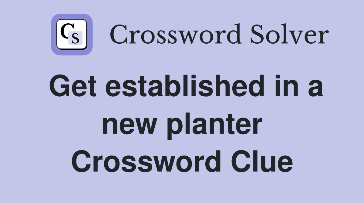 Get established in a new planter Crossword Clue