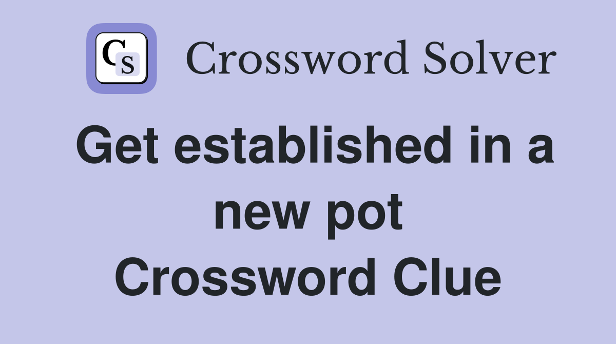 Get established in a new pot Crossword Clue