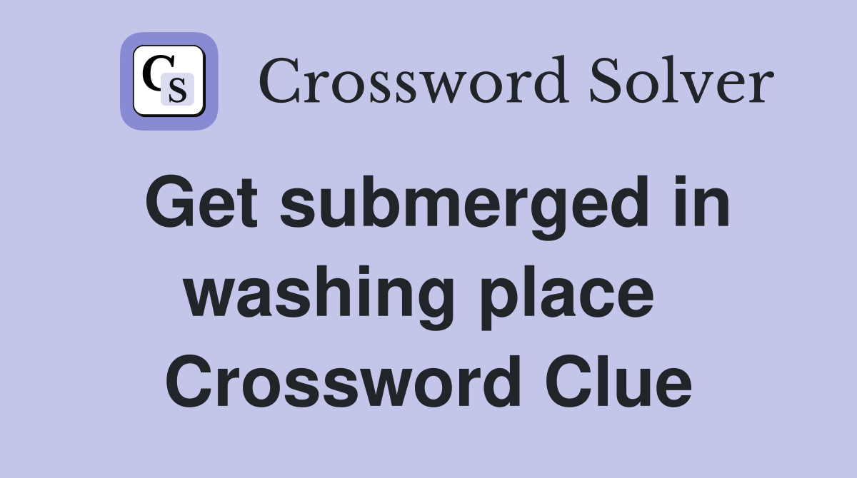 Get submerged in washing place  Crossword Clue