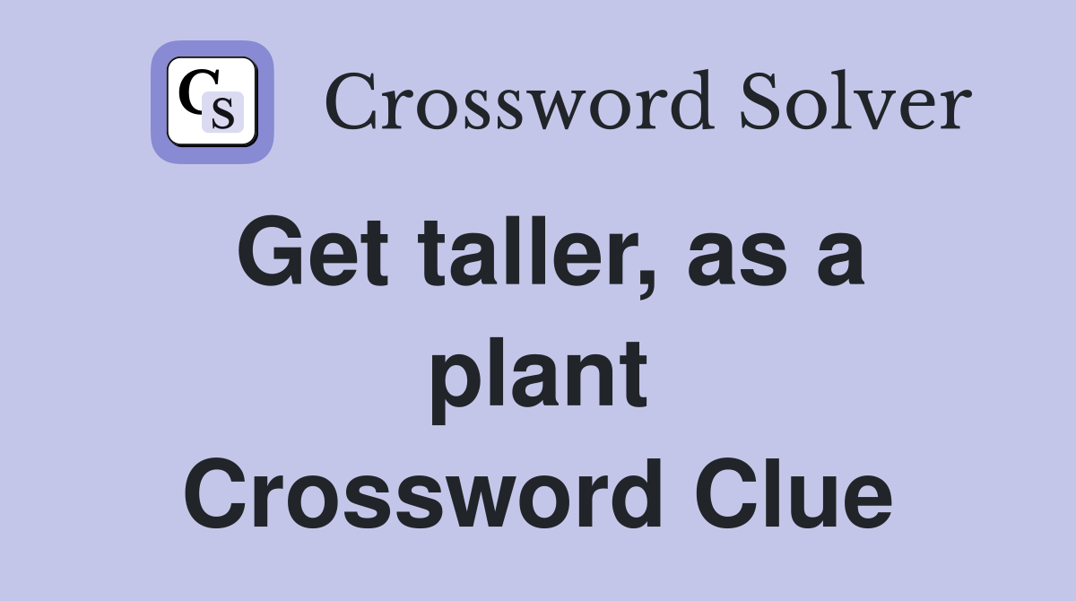 Get taller, as a plant Crossword Clue