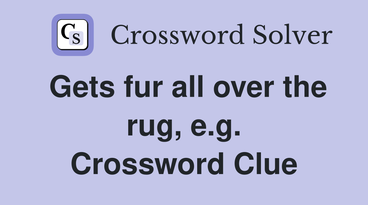 Gets fur all over the rug, e.g. Crossword Clue
