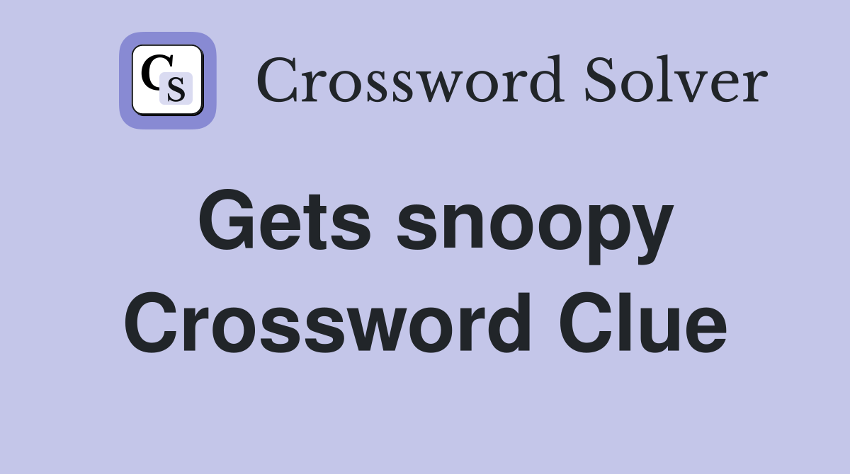 Gets snoopy Crossword Clue