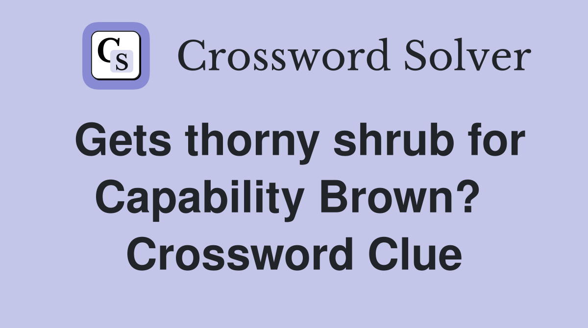 Gets thorny shrub for Capability Brown?  Crossword Clue