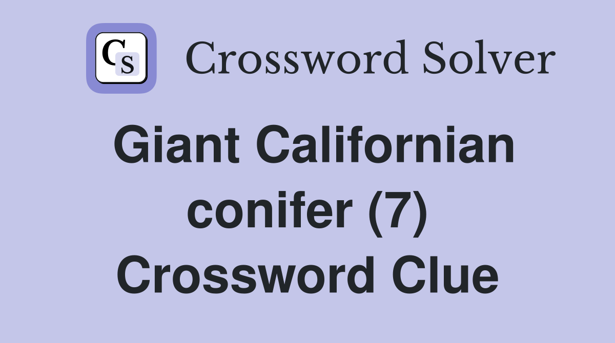 Giant Californian conifer (7) Crossword Clue