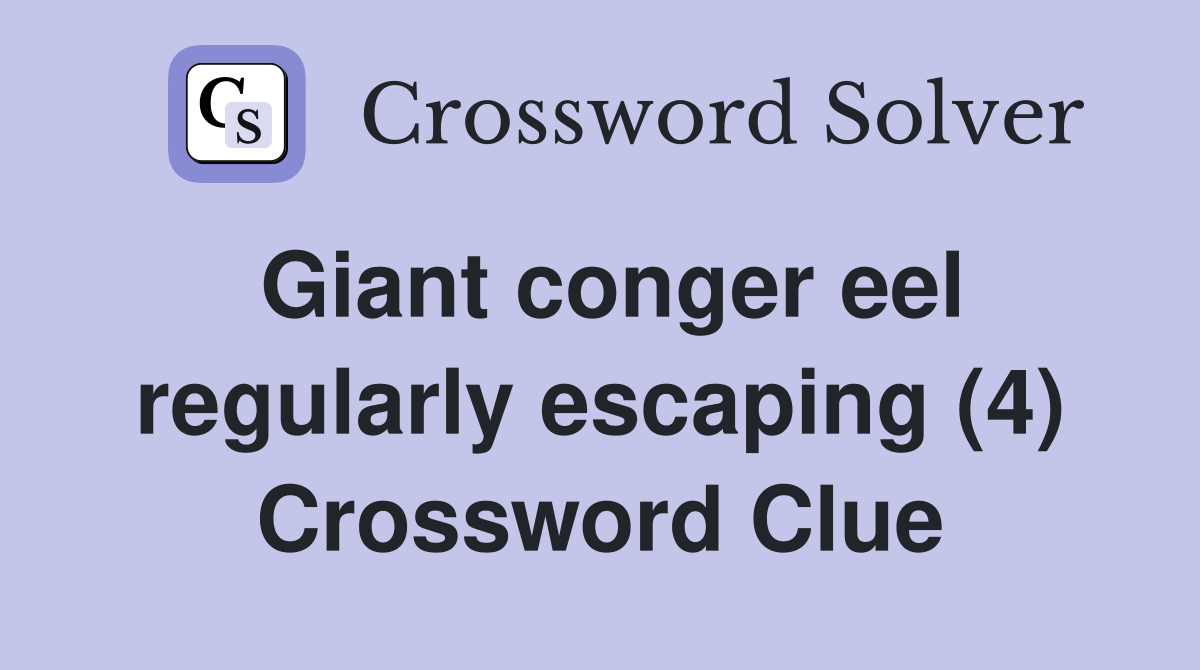 Giant conger eel regularly escaping (4) Crossword Clue