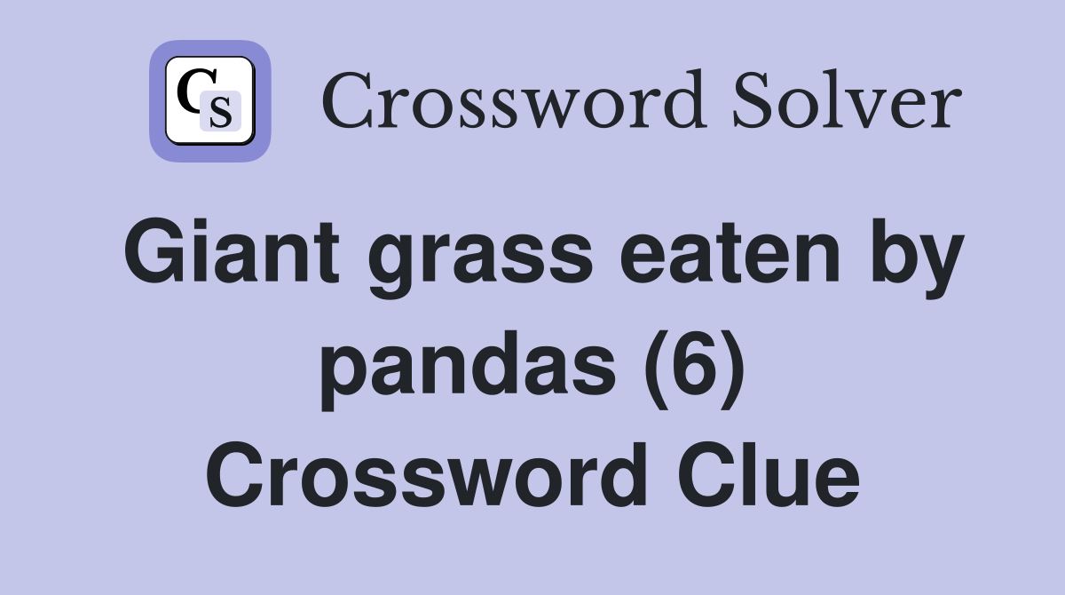 Giant grass eaten by pandas (6) Crossword Clue