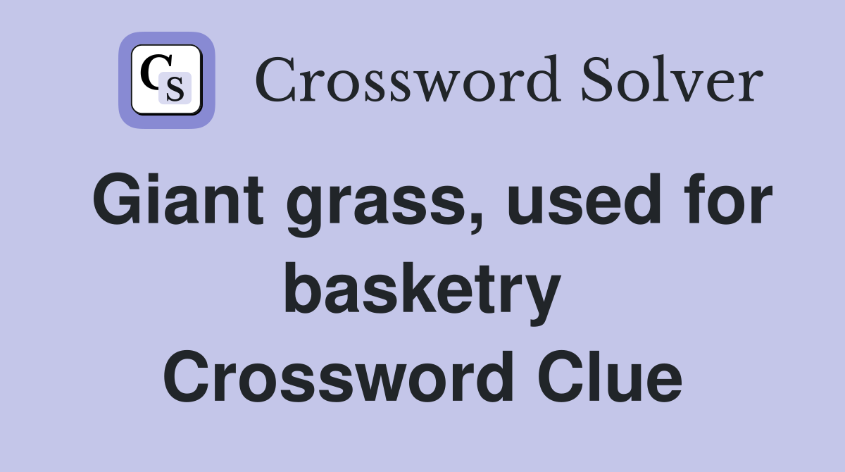 Giant grass, used for basketry Crossword Clue
