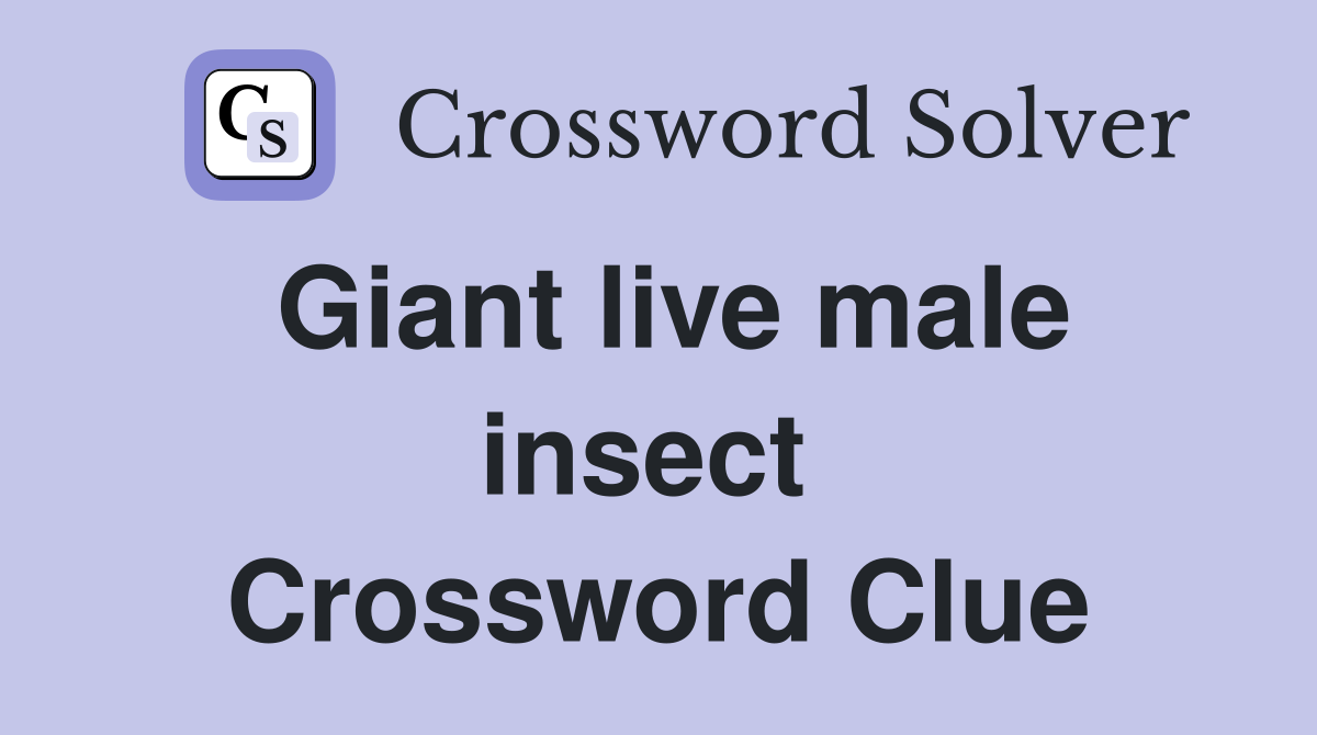 Giant live male insect  Crossword Clue
