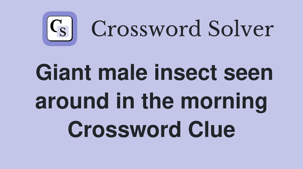 Giant male insect seen around in the morning Crossword Clue
