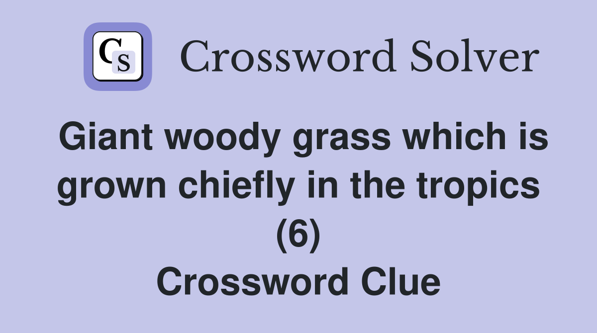 Giant woody grass which is grown chiefly in the tropics (6) Crossword Clue