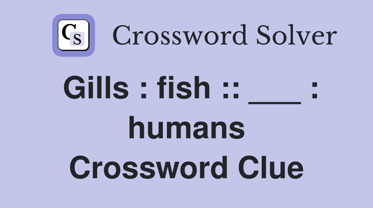 Gills : fish :: ___ : humans Crossword Clue